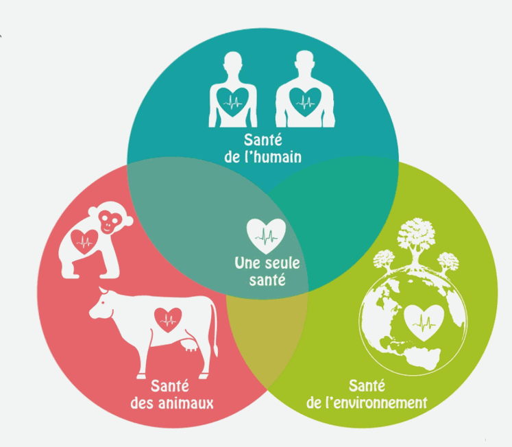 Odoo- Echantillon n° 3 pour trois colonnes