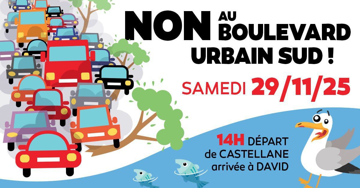 Odoo • Image et Texte